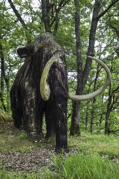Replica of woolly mammoth (Mammuthus primigenius) at the Le Thot museum about prehistoric animals and Paleolithic art found in the Lascaux cave, Thonac near Montignac, Dordogne, France, Europe, by alimdi / Arterra / Philippe Clément