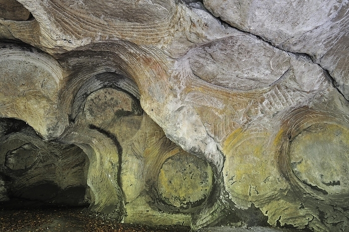 Luxembourg Grooves and circles in the sandstone rock from carving millstones at the Hohllay cave in Berdorf, Little Switzerland   Mullerthal, Grand Duchy of Luxembourg, by alimdi   Arterra   Philippe Cl ment