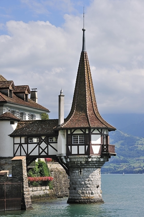 Switzerland The castle of Oberhofen along the Thunersee, Lake Thun in the Bernese Alps, Switzerland, Europe, by alimdi   Arterra   Philippe Cl ment