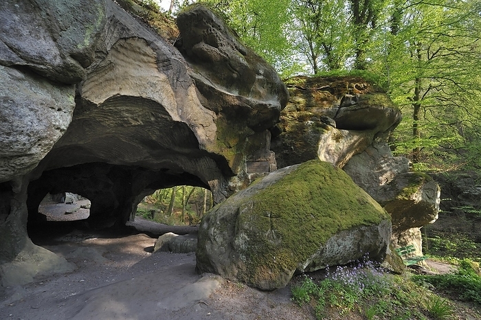 Luxembourg The Hohllay cave showing grooves and circles in the sandstone rock from carving millstones, Berdorf, Little Switzerland, Mullerthal, Grand Duchy of Luxembourg, by alimdi   Arterra   Philippe Cl ment