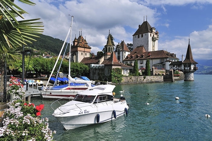 Switzerland Pleasure boats and the Swiss castle of Oberhofen along the Thunersee, Lake Thun in the Bernese Alps, Berner Oberland, Switzerland, Europe, by alimdi   Arterra   Philippe Cl ment