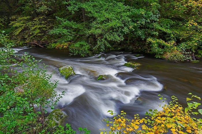 Germany River Bode running through forest showing autumn colours, fall colors at Nature reserve Bode Valley in the Harz Mountains, Saxony Anhalt, Germany, Europe, by alimdi   Arterra   Sven Erik Arndt