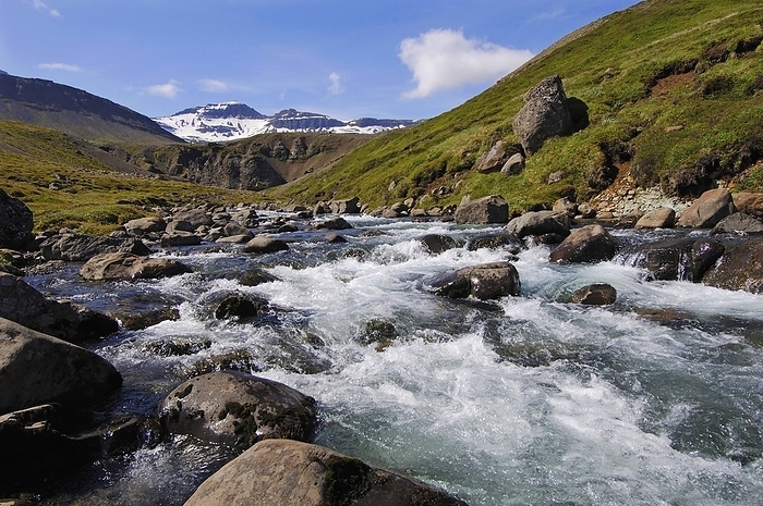 Iceland Fast flowing mountain stream coming down from the hills above Faskrudsfjordur, in the East Fjords region of eastern Iceland, by Klaus Steinkamp