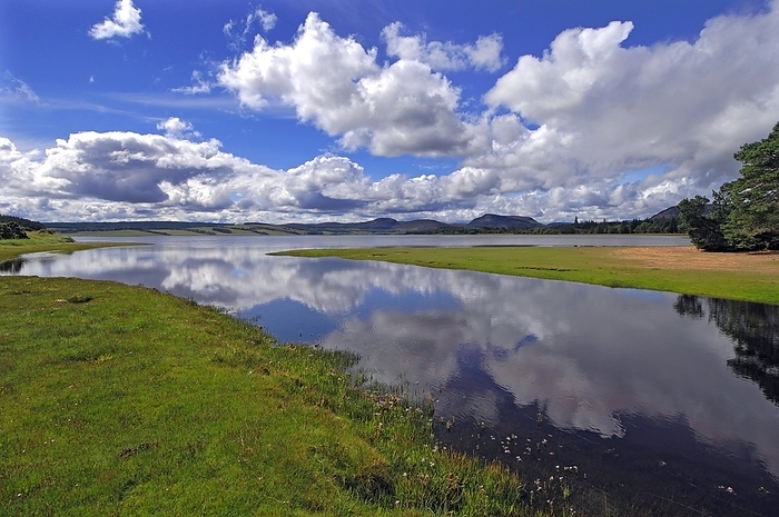 Scotland Mirror like reflections of trees and sky in the still waters of Loch Fleet, east Sutherland, n.e. Scotland, by Klaus Steinkamp