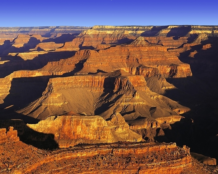 Grand Canyon Grand Canyon from South Rim, in dramatic dawn light, by Klaus Steinkamp