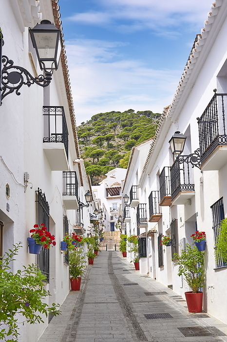 Spain Street in the Mijas, White villages, Costa del Sol, Malaga Province, Andalusia, Spain photo by:Jan Wlodarczyk
