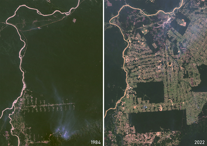 Deforestation in Rondonia, Brazil in 1984 and 2022 Color satellite image of deforestation in Rondonia, Brazil in 1984 and 2022., by Planet Observer Universal Images Group