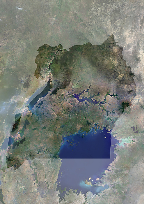 Uganda with mask Color satellite image of Uganda, with mask., by Planet Observer Universal Images Group