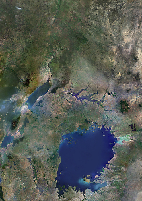 Uganda and Lake Victoria Color satellite image of Uganda and neighbouring countries., by Planet Observer Universal Images Group