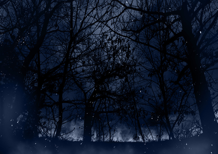 Distant, serene, mysterious forest fire blue
