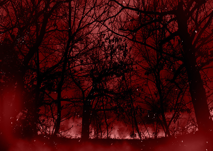Distant, serene, mysterious forest fire red
