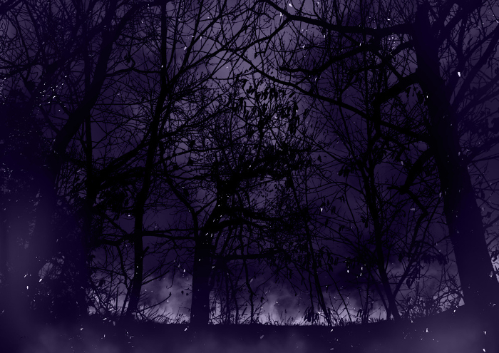 Distant, serene, mysterious forest fire purple