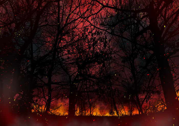 Distant, serene, mysterious forest fires