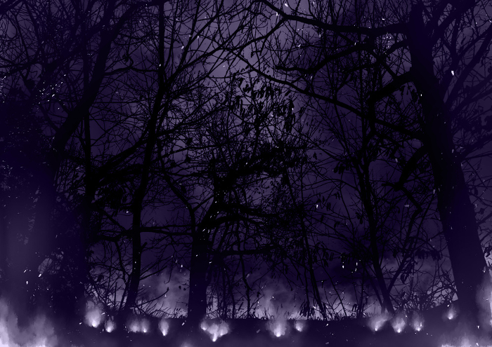 Tranquil and mysterious forest fire purple