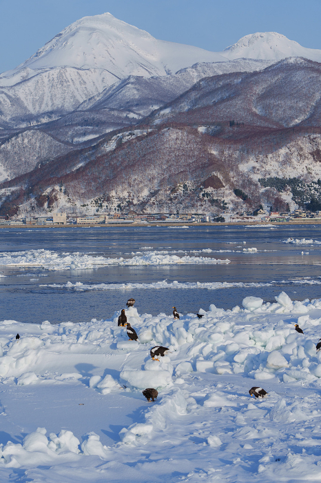 Drift Ice, Eagles and Shiretoko Mountain Range Winter Sightseeing in Hokkaido