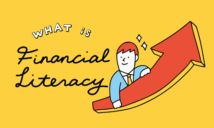 What is Financial Literacy? An Illustration of Money Study