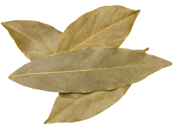 Dry bay leaf on isolated background, spice. Top view Dry bay leaf on isolated background, spice. Top view