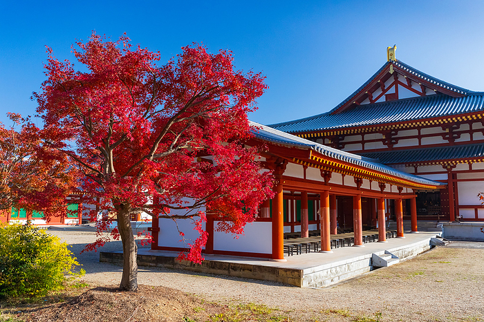 Nara Prefecture Yakushiji Temple in Autumn Foliage Near the main auditorium