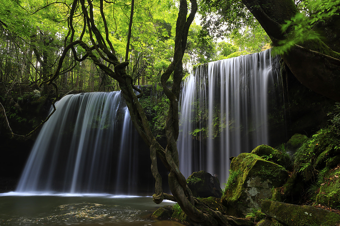 Nabegataki Waterfall of fresh green Kumamoto Pref.