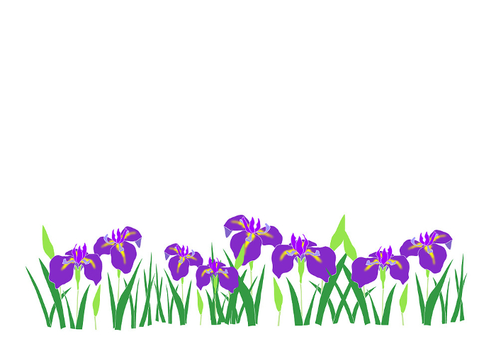 Clip art of iris flower background