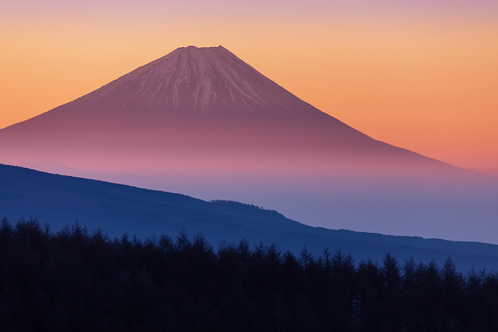 Red Fuji at dawn Nagano Pref. Taken from the Kirigamine Plateau