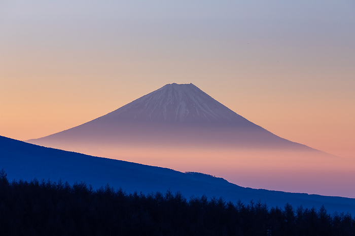 Fuji in the morning glow Nagano Pref. Taken from the Kirigamine Plateau