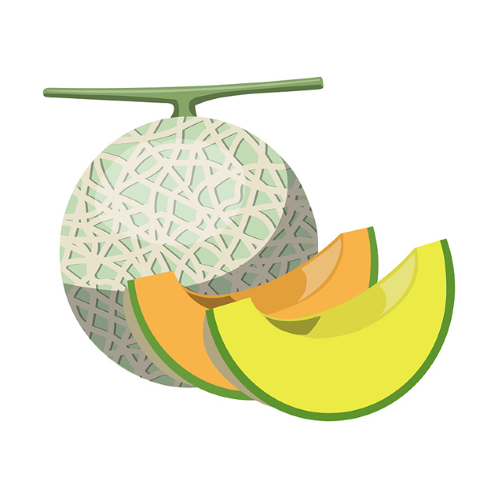Clip art of melon