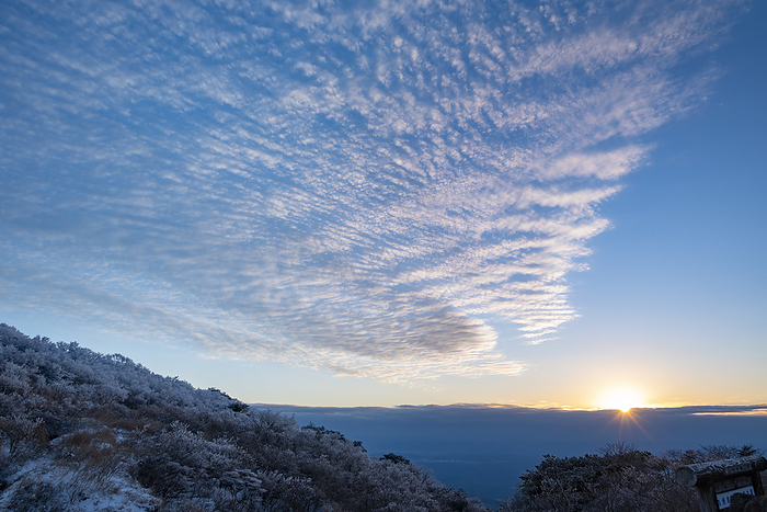 Scaly Clouds and Ice Trees Kirishima City