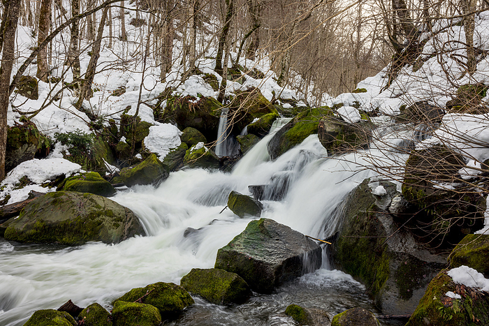 Oirase Stream in winter, Aomori Pref.