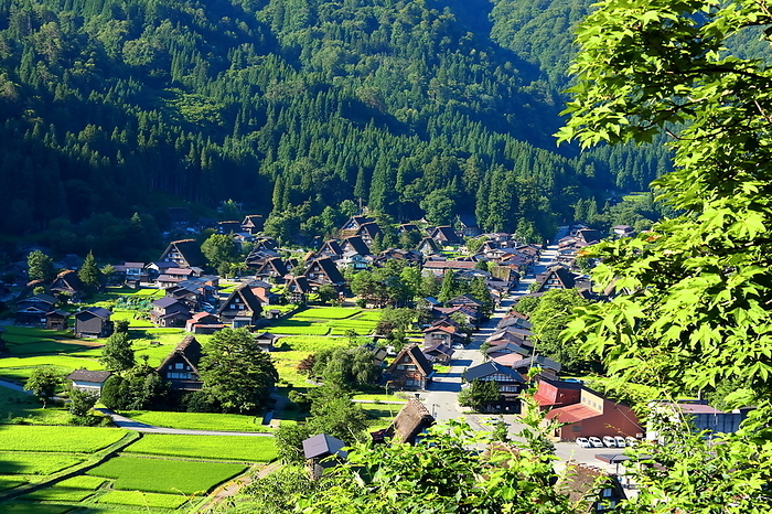 Summer morning in Shirakawa-go Shirakawa Village, Gifu Prefecture