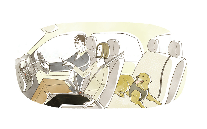 Man, woman and dog driving