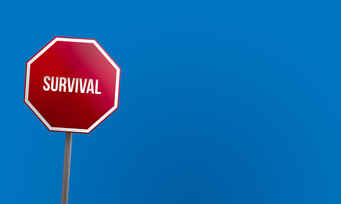 Survival strategy   red sign with blue sky Survival strategy   red sign with blue sky, by Zoonar Markus Beck