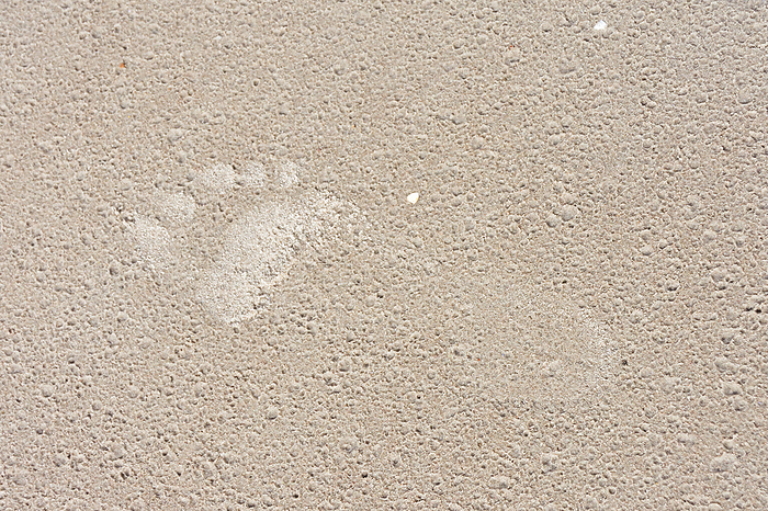 Footprint on the beach Footprint on the beach, by Zoonar Karin Jaehne
