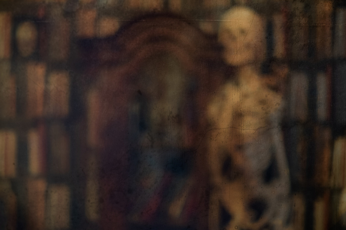 Texture skeleton with old library Texture skeleton with old library, by Zoonar Daniel K hne