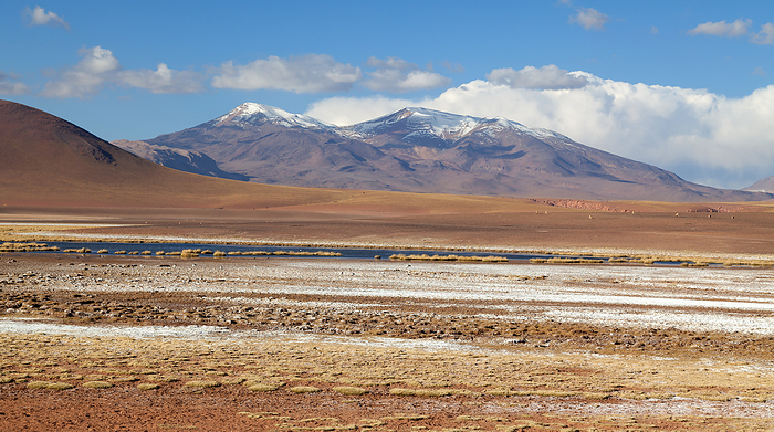 Mountain Panorama in the Atacama Desert in Chile near San Pedro de Atacama Mountain Panorama in the Atacama Desert in Chile near San Pedro de Atacama, by Zoonar Andreas Edelm