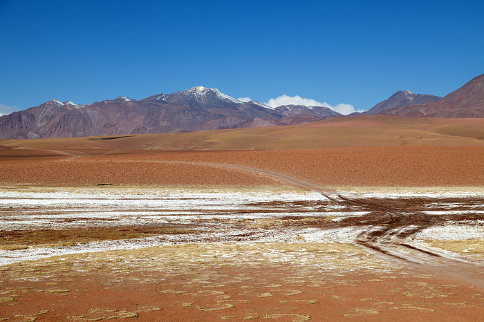 Panorama in the Atacama Desert in Chile near San Pedro de Atacama Panorama in the Atacama Desert in Chile near San Pedro de Atacama, by Zoonar Andreas Edelm
