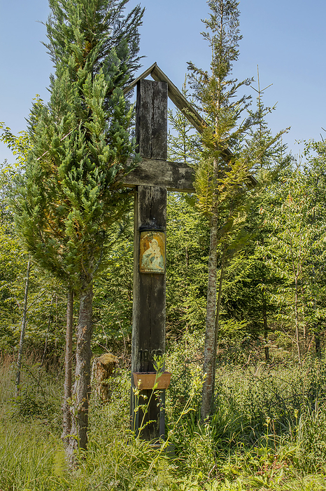 Wayside cross in the forest near Illmensee, Maria with the child Wayside cross in the forest near Illmensee, Maria with the child, by Zoonar Falke