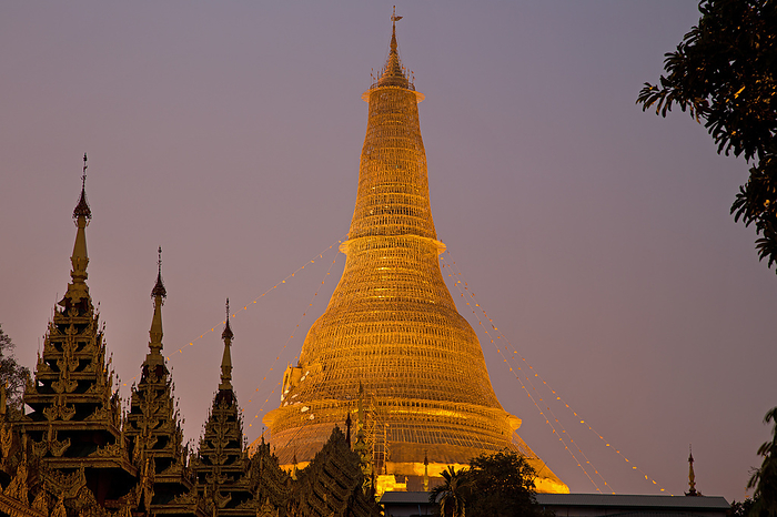 The Shwedegon Pagoda in Yangon at night The Shwedegon Pagoda in Yangon at night, by Zoonar Andreas Edelm