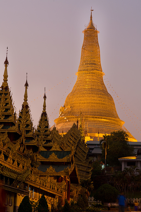 The Shwedegon Pagoda in Yangon at night The Shwedegon Pagoda in Yangon at night, by Zoonar Andreas Edelm