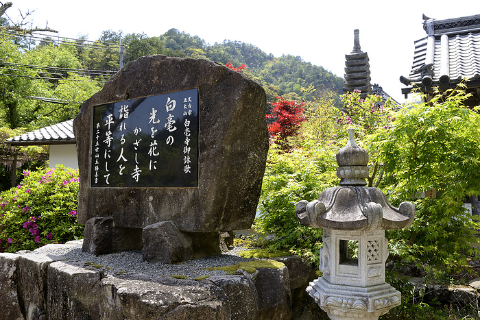 Tamba City/The monument in the precincts of Shirahoji Temple in fresh green