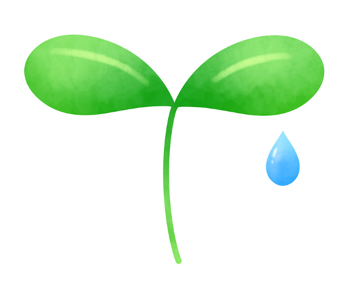Clip art of simple twin leaves and a drop of water