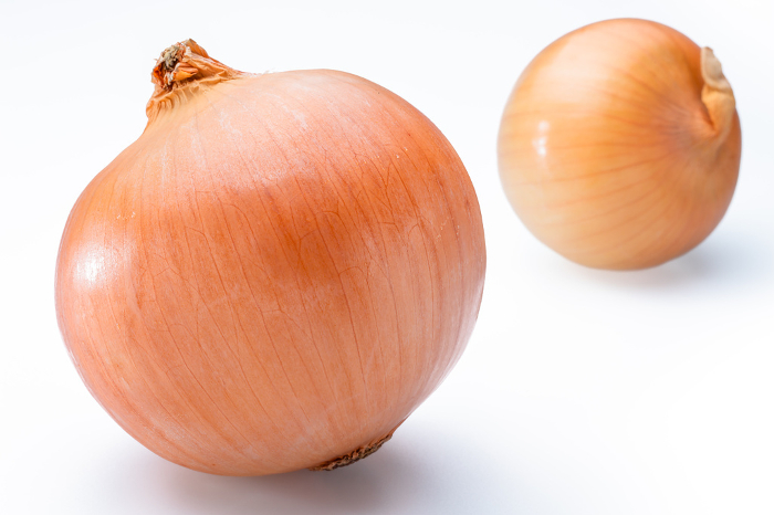 onion (edible plant, Allium cepa)