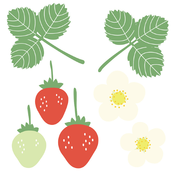 Clip art of various strawberry parts
