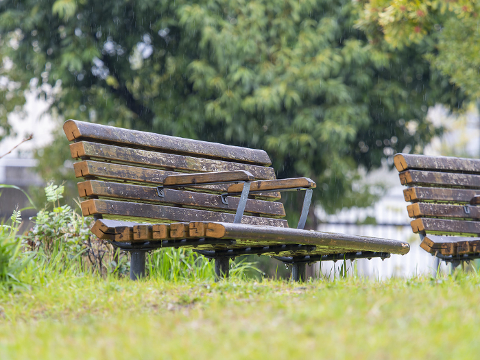Rain-drenched park bench