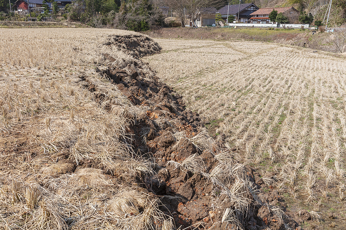 Noto Peninsula Earthquake, Ishikawa Prefecture: Uplift of the ground appearing in rice paddies