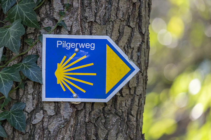 pilgrim path pilgrim path, by Zoonar AnnaReinert