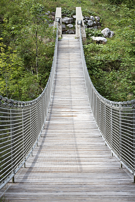 Suspension bridge near Hintersee Suspension bridge near Hintersee, by Zoonar Harald Biebel