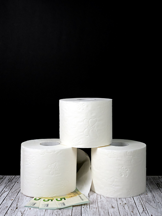 Three rolls of white toilet paper stacked atop each other and three five euro notes Three rolls of white toilet paper stacked atop each other and three five euro notes, by Zoonar Katrin May