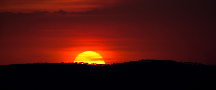 Sunset over the Ngorongoro Crater in Tanzania Sunset over the Ngorongoro Crater in Tanzania, by Zoonar Andreas Edelm