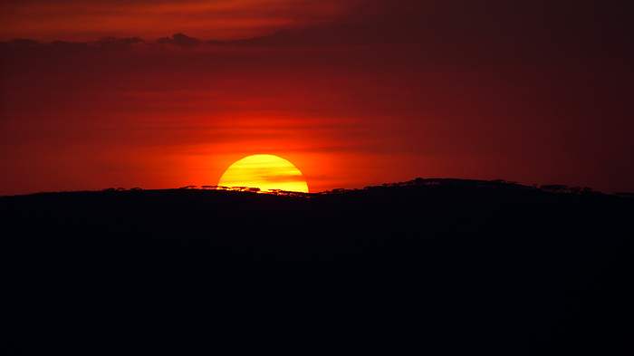 Sunset over the Ngorongoro Crater in Tanzania Sunset over the Ngorongoro Crater in Tanzania, by Zoonar Andreas Edelm